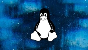 Linux tux ice