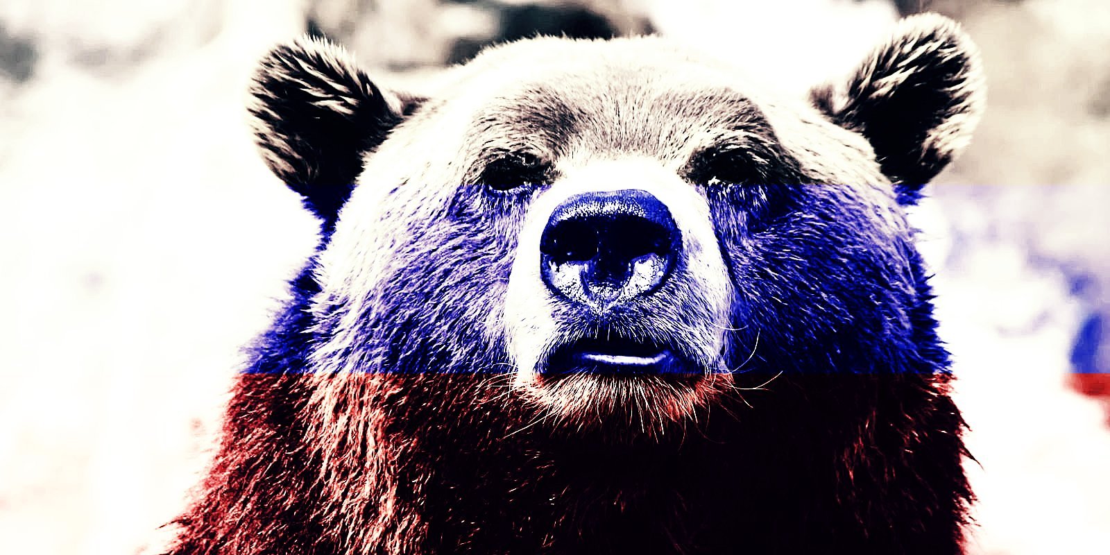 Russian bear