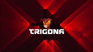 trigona header