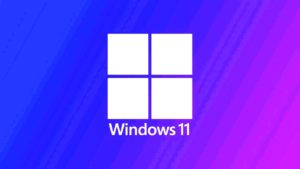 Windows 11