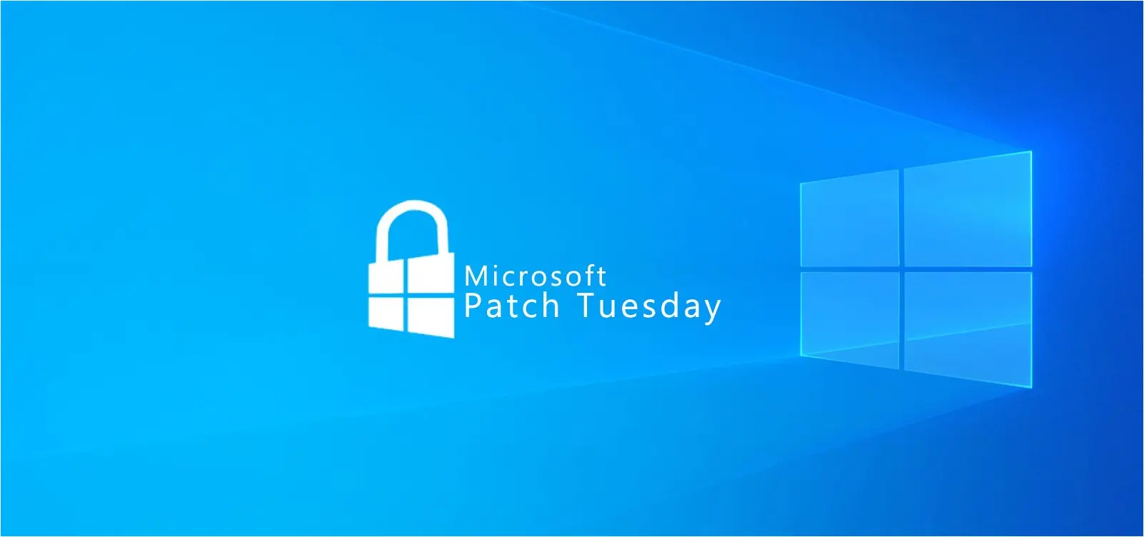 Microsoft January 2024 Patch Tuesday Fixes 49 Flaws 12 Rce Bugs ...